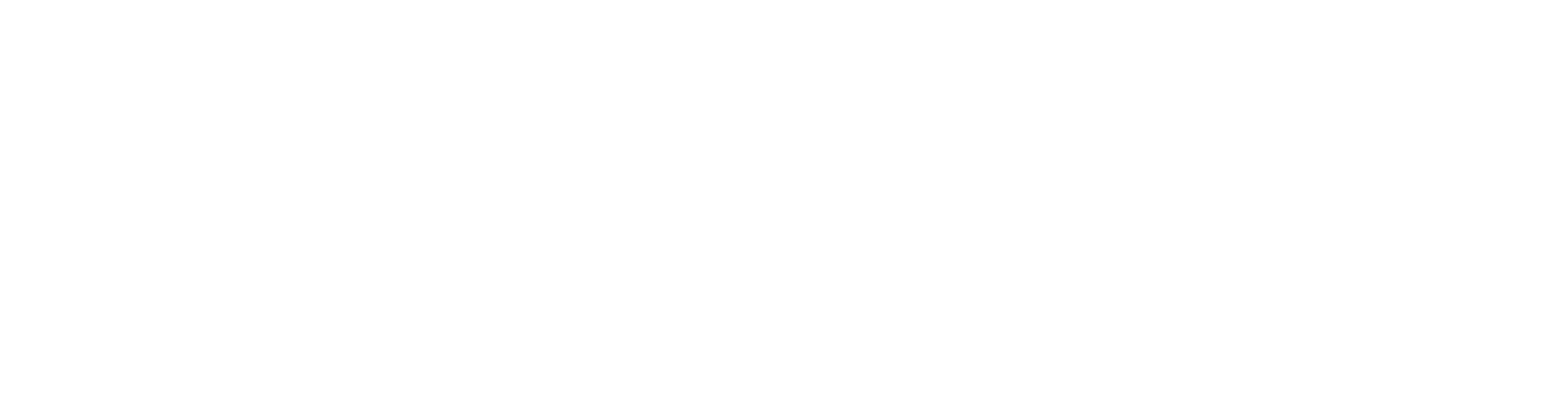 logotibo-blanco-isiseguros